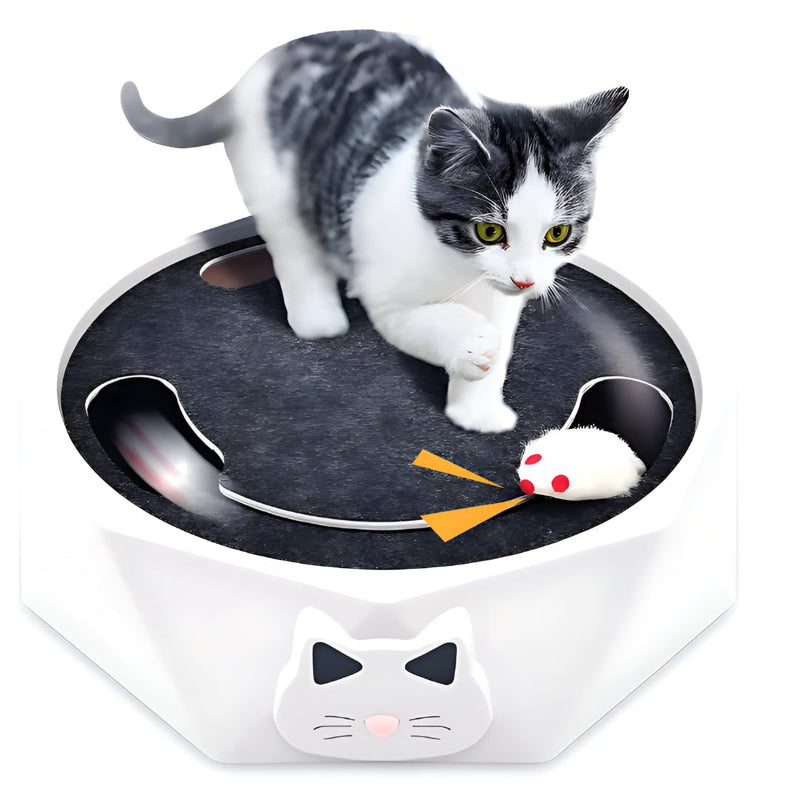 Interactive Motorised Mouse Chase and Scratching Cat Toy