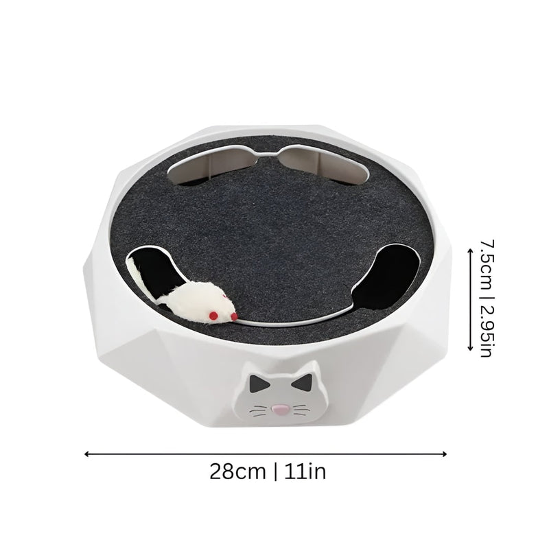 Interactive Motorised Mouse Chase and Scratching Cat Toy