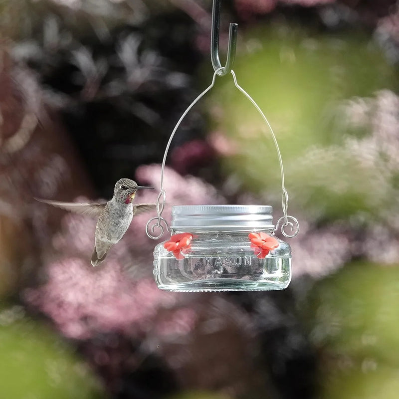 16 oz Hanging Hummingbird Feeder with Bee Guard & 4 Feeding Ports