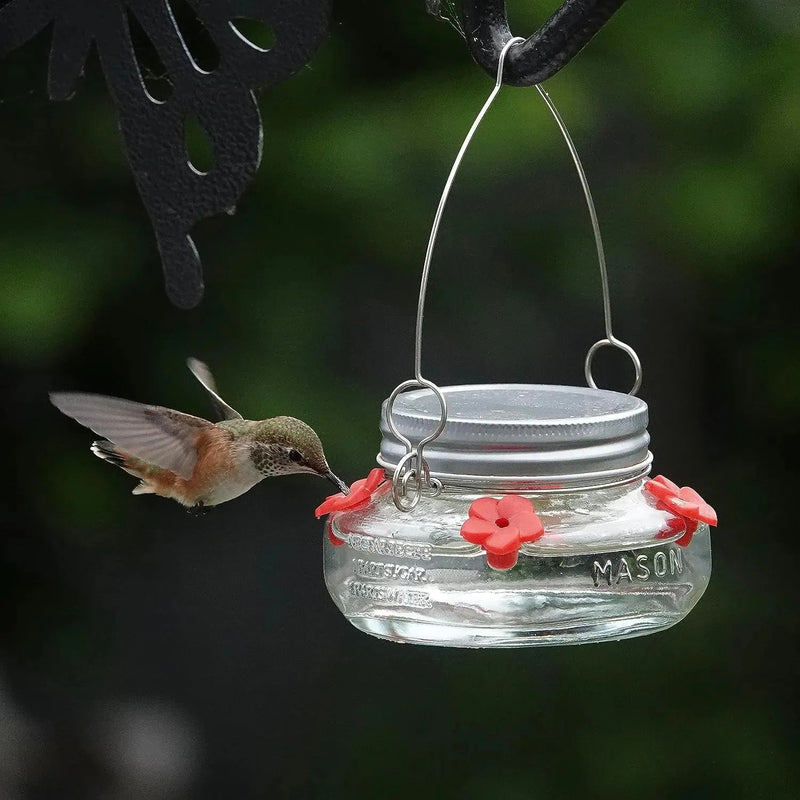 16 oz Hanging Hummingbird Feeder with Bee Guard & 4 Feeding Ports