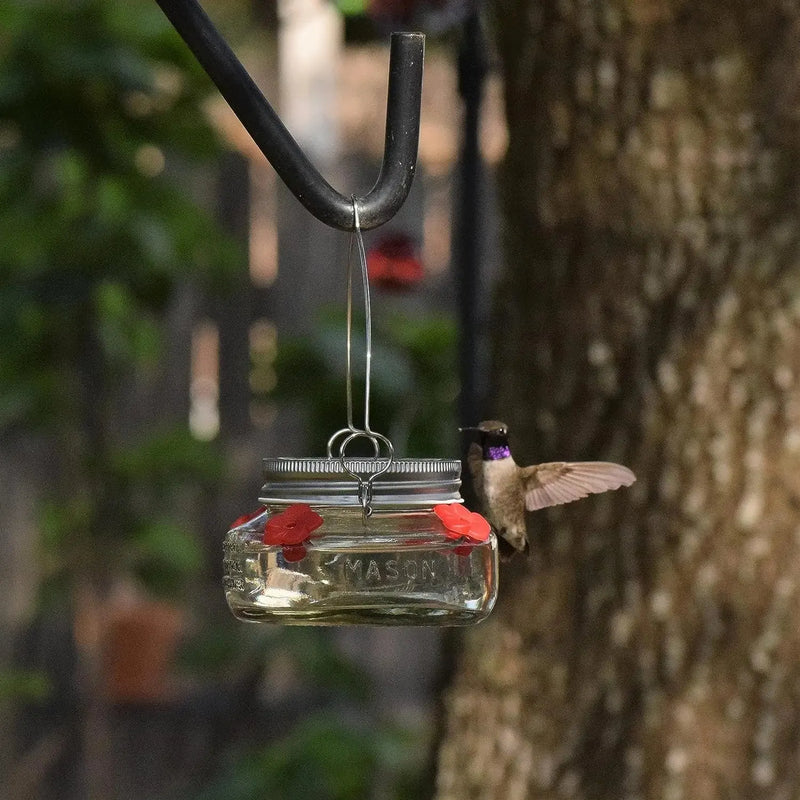 16 oz Hanging Hummingbird Feeder with Bee Guard & 4 Feeding Ports