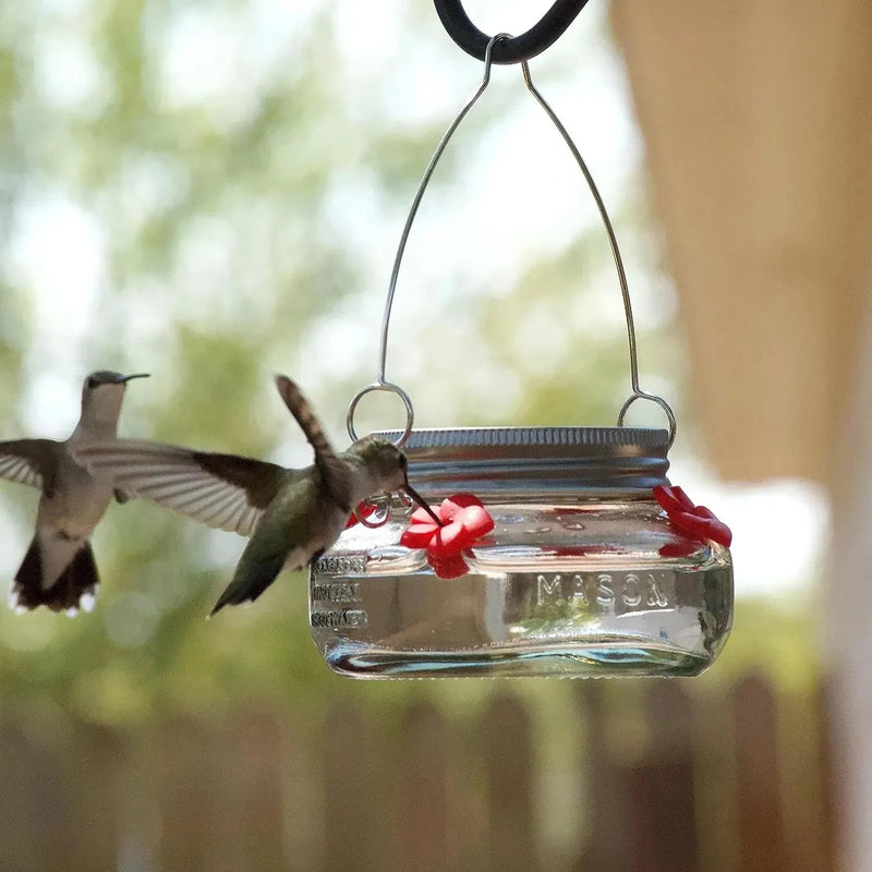 16 oz Hanging Hummingbird Feeder with Bee Guard & 4 Feeding Ports