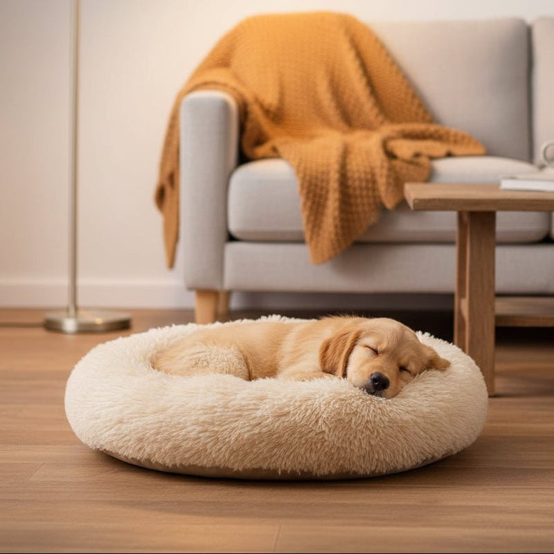 Plush Donut Pet Bed with Raised Bolster Support