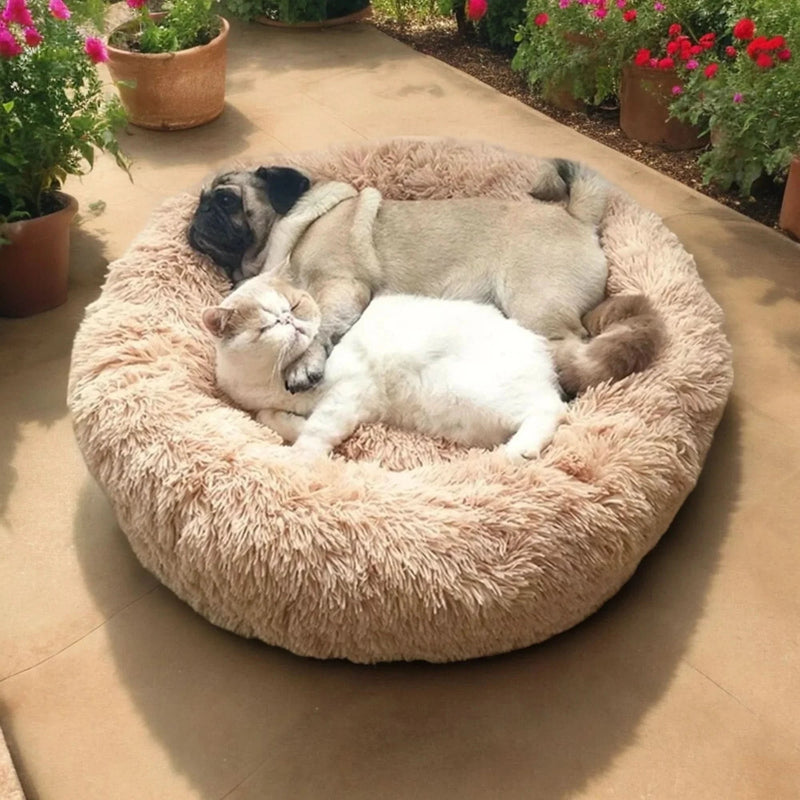 Plush Donut Pet Bed with Raised Bolster Support