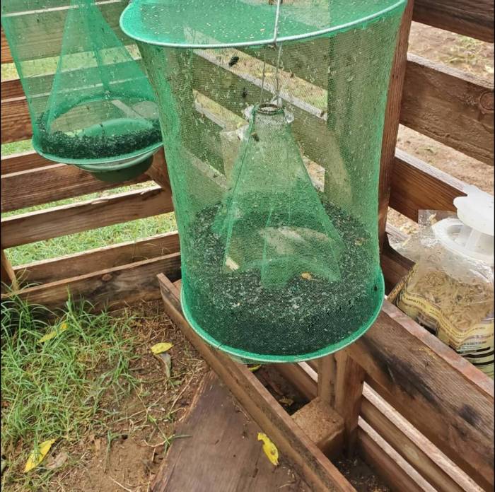 Reusable Hanging Insect Trap for Gardens, Patios and Outdoor Campsites