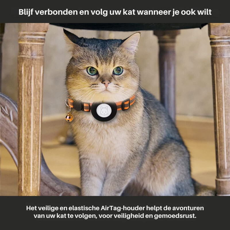 Cat GPS Tracker Collar with Reflective Design