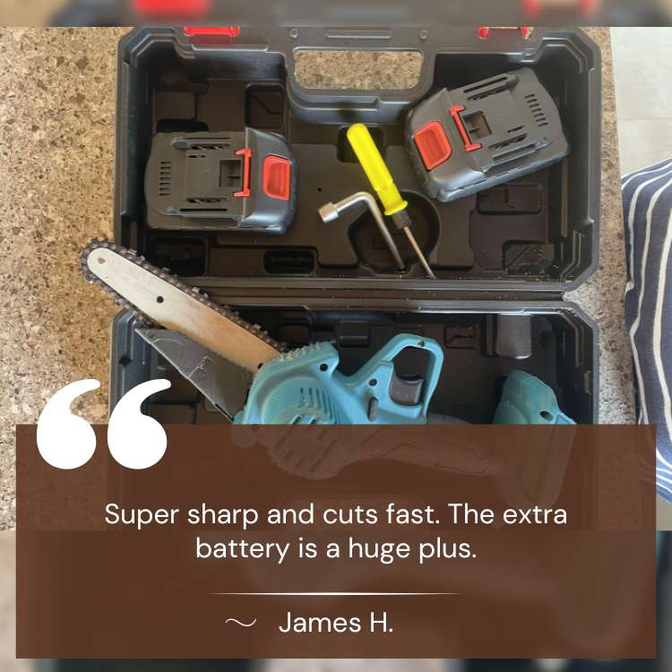 6-Inch Cordless Mini Chainsaw with Dual Rechargeable Batteries
