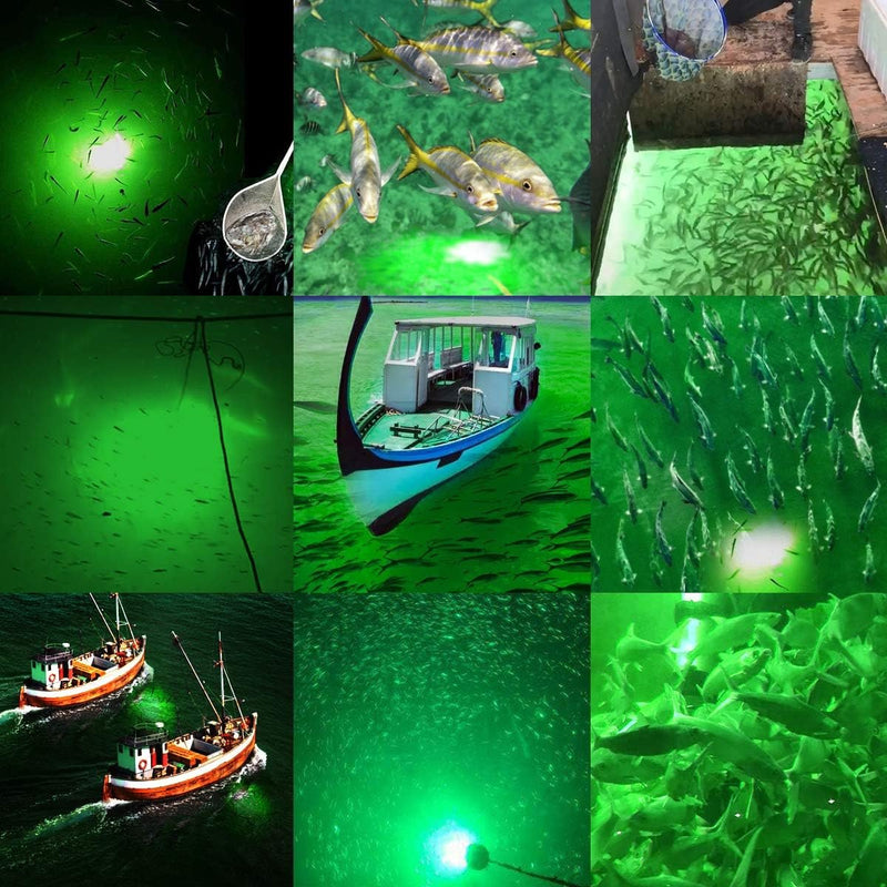12V Submersible LED Fishing Light for Night Fishing & Fish Attraction