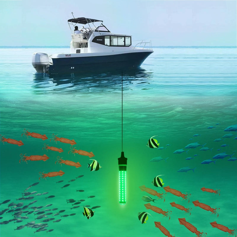 12V Submersible LED Fishing Light for Night Fishing & Fish Attraction