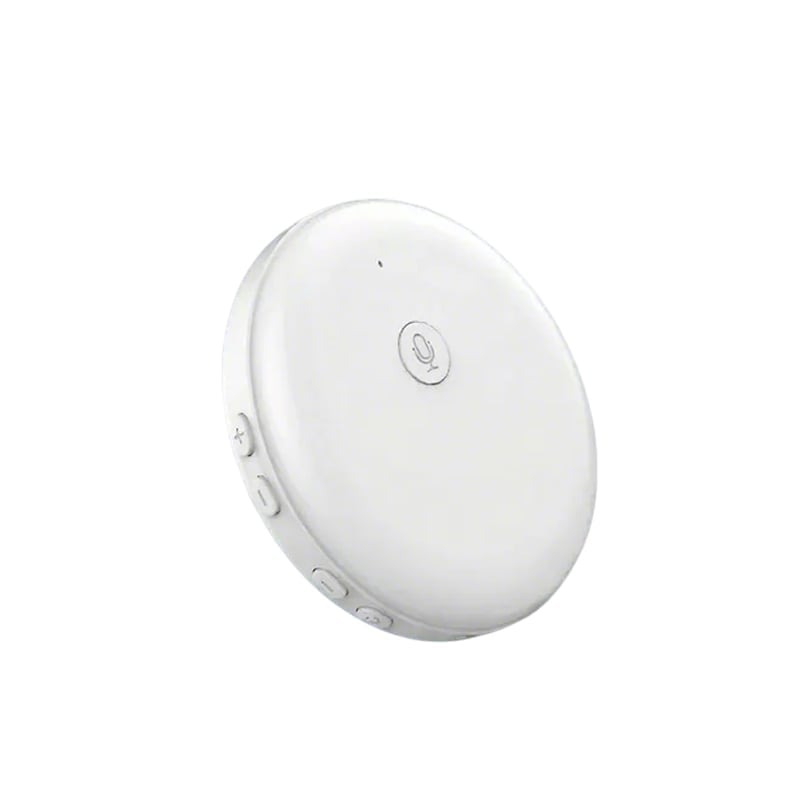 Portable AI Language Translator and Speaking Practice Device